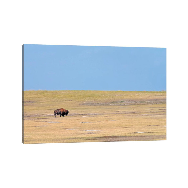 Solitary by Brian Wolf - Wrapped Canvas Print, 30.48cm H x 45.72cm W x 1.91cm D