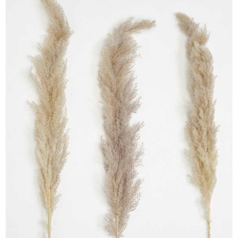 Pampas Grass Arrangement