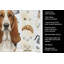 Serviette de cuisine tricolore et blanche Basset Hound-1234934558