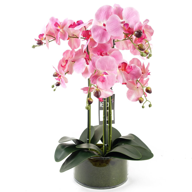 50cm Faux Plant in Glass Planter, Pink