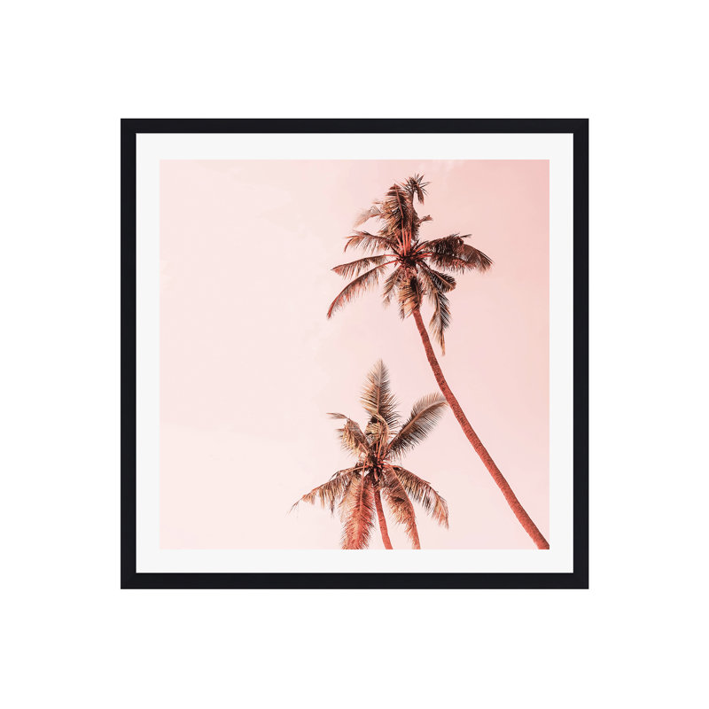 Palmiers Tulsi Sunset, Oui, Cadre naturel naturel, H 36 po x l 36 po x P 0,75 po