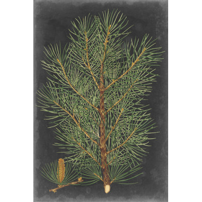 Dramatic Pine II - Painting Print