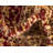 Odyssey Oriental Indoor Rug-40282353