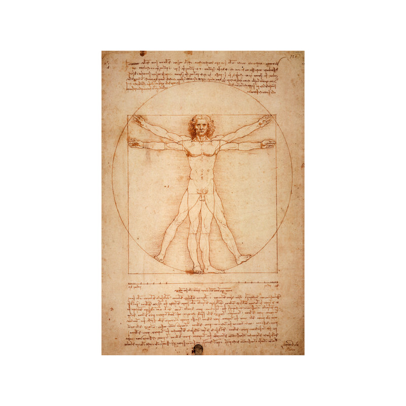 Vitruvian Man by Leonardo Da Vinci - 1 Piece Painting on Canvas, 101.6 cm H x 66.04 cm W x 3.175 cm D, Wrapped Canvas