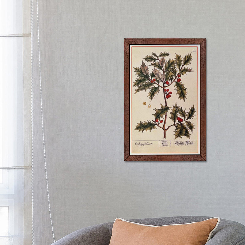 Elizabeth Blackwell - Print on Canvas, 152.5 cm H x 101.5 cm W, Brown Floater Framed