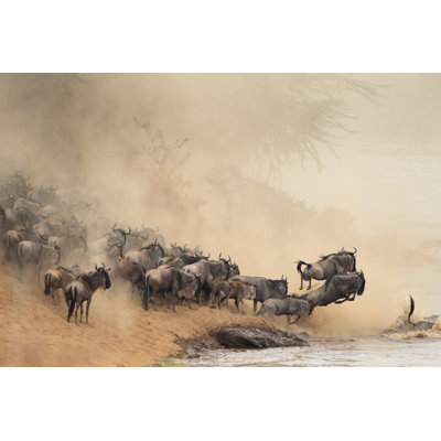 " Herd Of Wildebeest " by Zhengvision