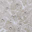 30Pcs Self-adhesive PVC Flooring Tiles Set-469164200