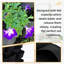 WallPlanter Cathyleen