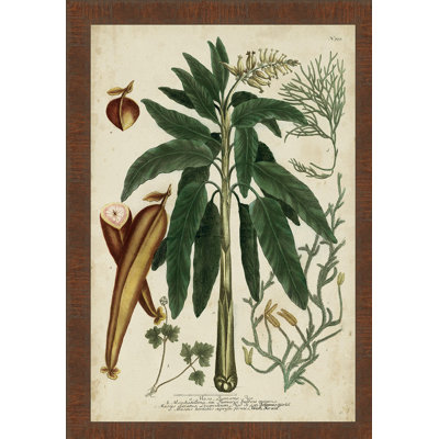 " Vintage Tropicals II "
