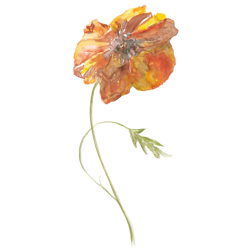 Tall Orange Flower 2 Print by Nathan Turner