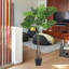 Camonte 120cm Lifelike Plant: No Care & Fade-Free Decor