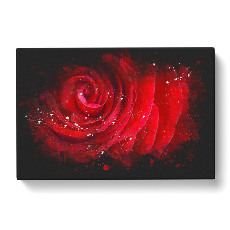 Dewdrops Upon A Red Rose - Wrapped Canvas Painting, 35cm H x 50cm W x 3cm D