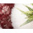 Brandt Floral Indoor Rug-449911905