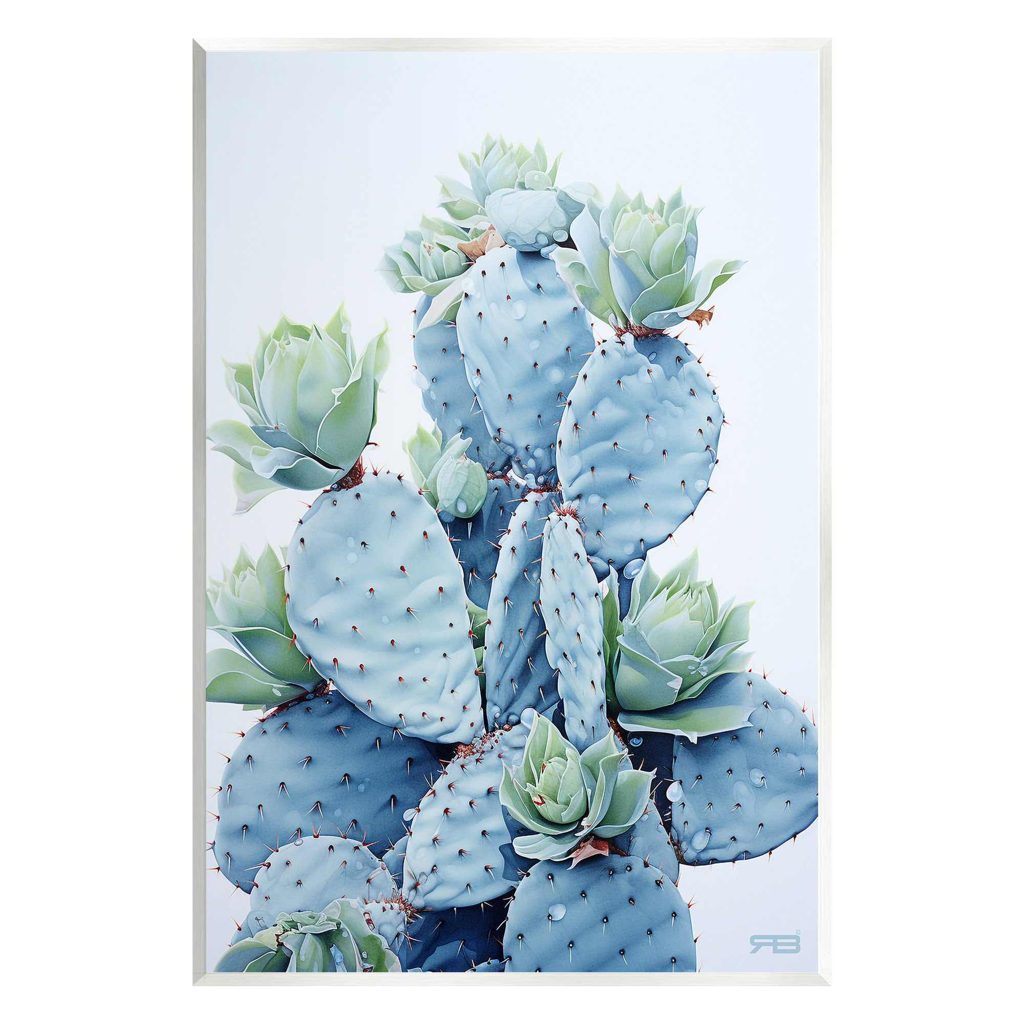 Stupell Industries Blooming Succulents & Cactus Wall Plaque Art By RB ...