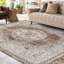 Tapis brun / gris Rosalia Cottage Medallion-1574058759