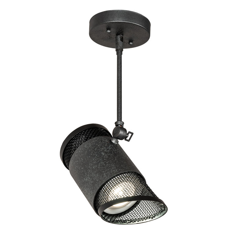 Luminaire suspendu à une lumière 9FE08B3CAF8E491AB66E657308CA9BFD