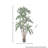 6' UV Potted Dracaena Marginata Tree