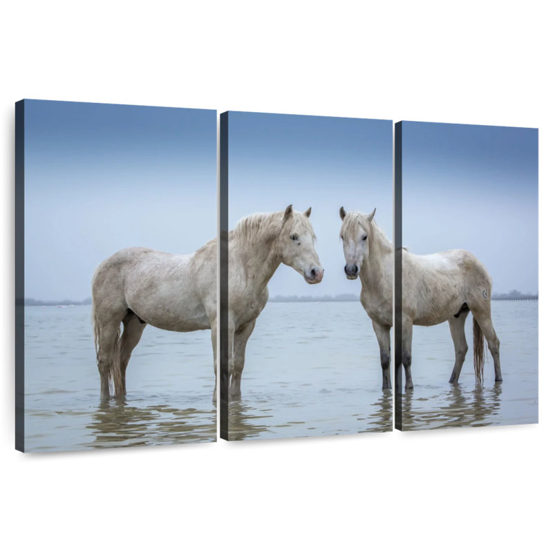 Standing Camargue Horses