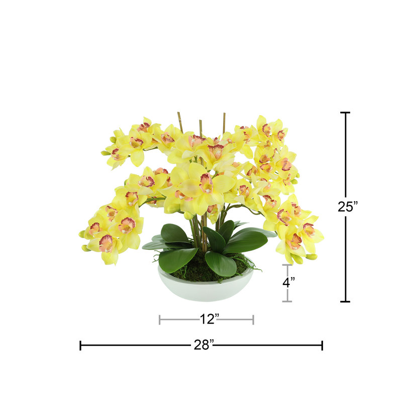 Orchids Arranged in Fiberstone Planter, Yellow