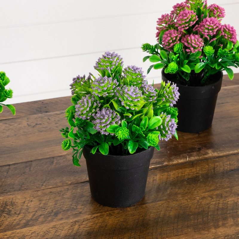 Arrangement