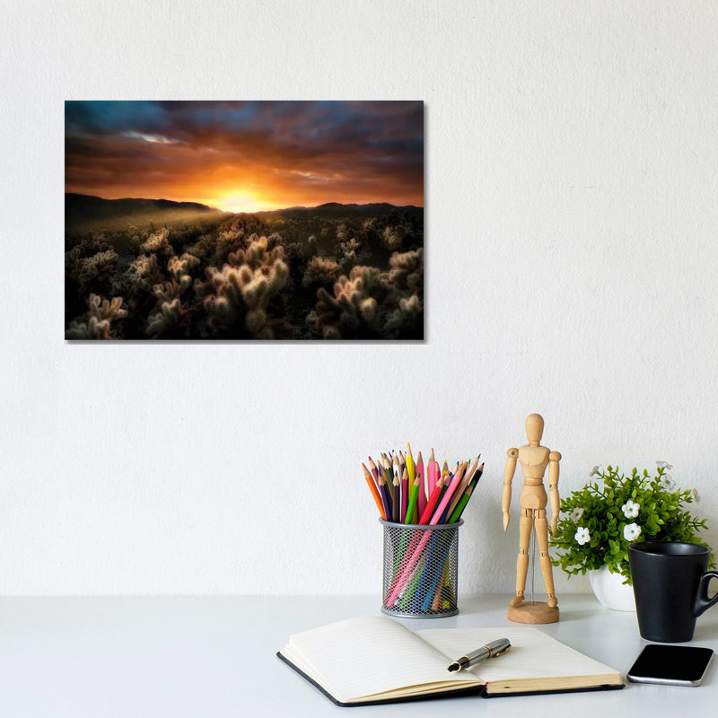Cholla Sunrise by Dennis Frates - Gallery-Wrapped Canvas Giclée on Canvas, 20.32 cm H x 30.48 cm W, No Frame