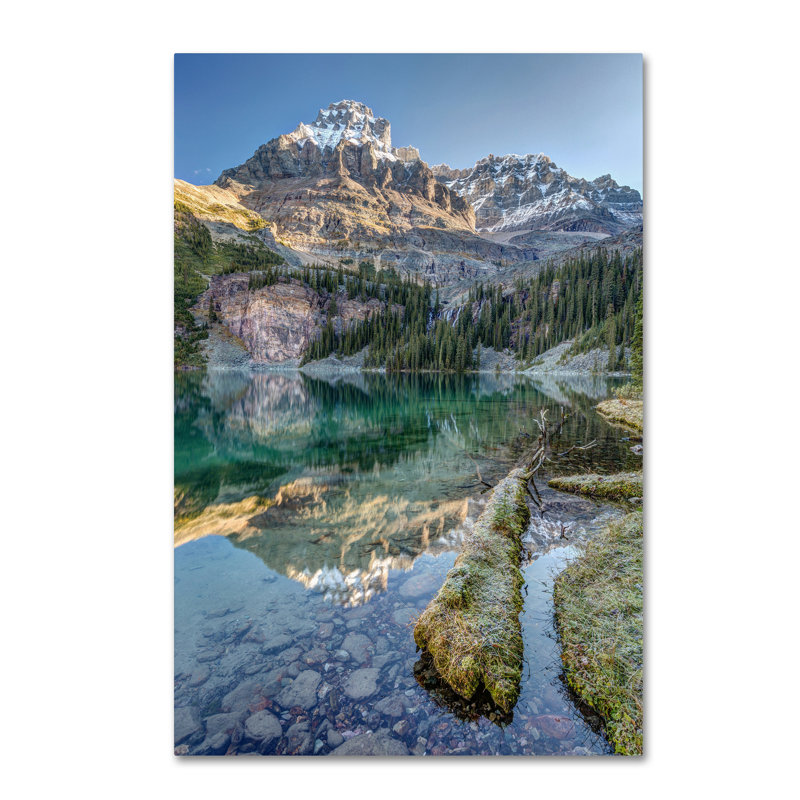 Lake O'Hara Scenic Shoreline Framed Canvas Art