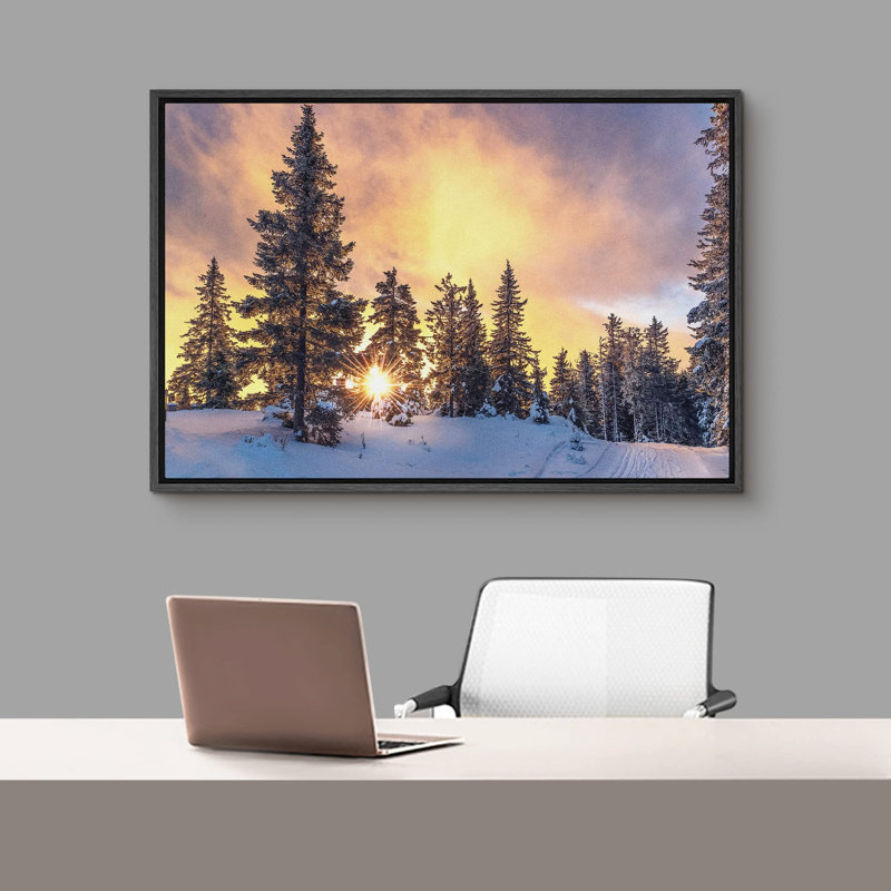 Coucher de soleil, hiver, pin, neige, forêt, nature, photographie, paysage sauvage, paysage, décor, Cadre flottant noir