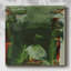 Toile tendue Evolve Green II-Gallery-1760372025
