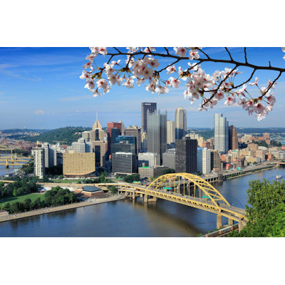 " Spring In Pittsburgh City "