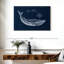 Underwater Life II-107887201