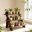 3 Tier Plant Stand