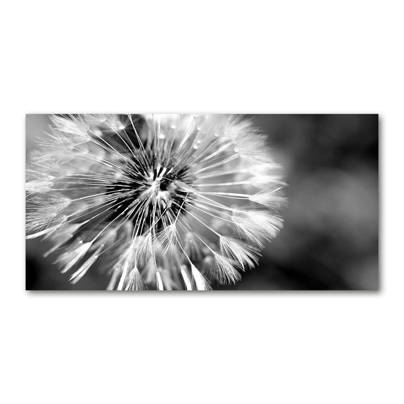 Dandelions - Wrapped Canvas Print