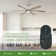 Mentor Ceiling Fan with LED Lights