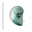 Shinny Calm Snail - Wrapped Canvas Print-395600409
