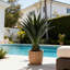 Fausse plante d'agave en pot Amee H 39,25 po
