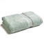 Renaissance Egyptian Cotton Hand Towels-2074011954