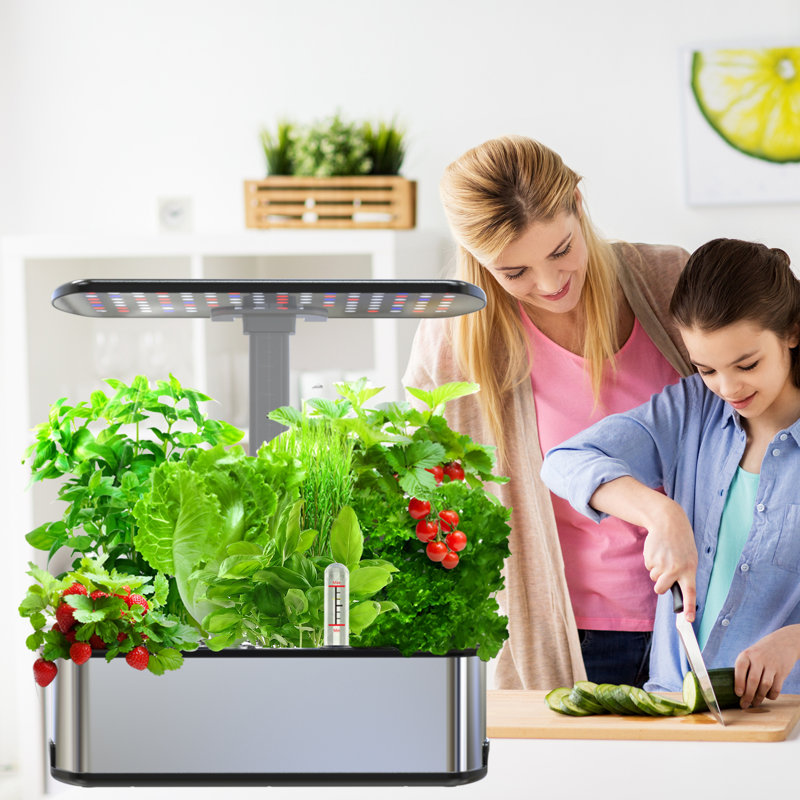 Ensemble de systèmes de culture hydroponique, jardin d'intérieur Smart Herbs, pots de plantation BHTNYoo / 12 dosettes d'une capacité de 5 L avec lumières de croissance à DEL et pompe à eau intelligente, minuterie