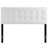 Copper Grove Worishofen Velvet Headboard by Modway-1797675136-1797675147