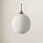 Hallas 1-Light Single Globe Pendant