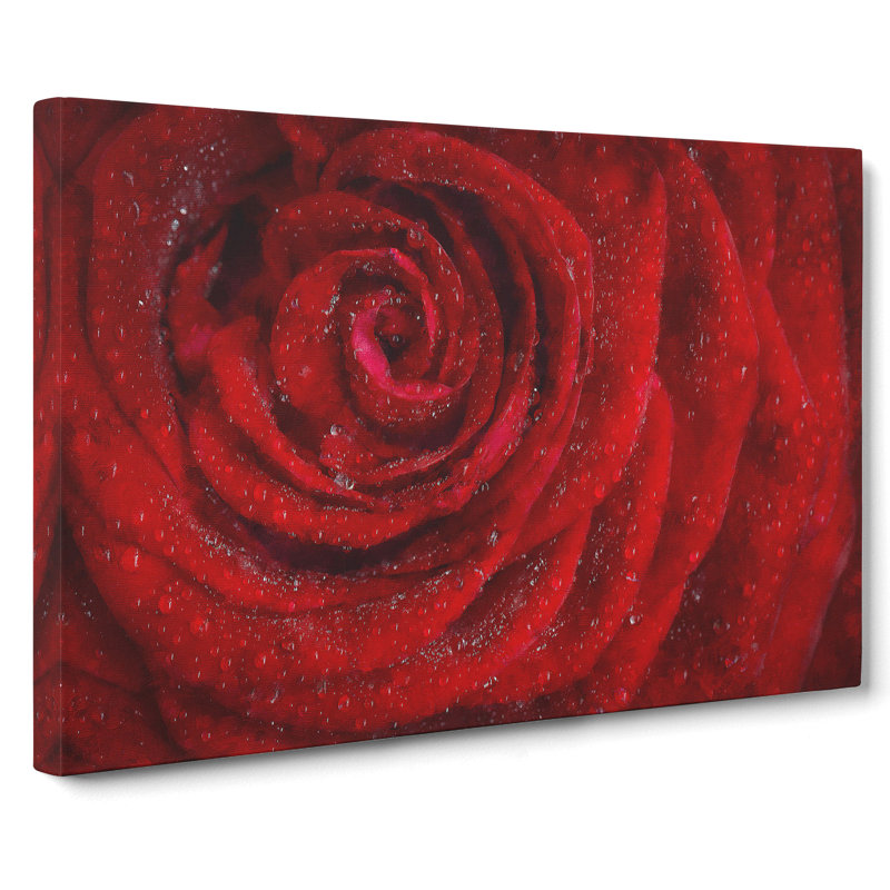 Dewdrops Upon A Red Rose - Wrapped Canvas Painting, 50cm H x 76cm W x 3cm D