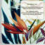 Aadhan Blue Tropical Wallpaper