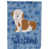 Bichon havanais 2