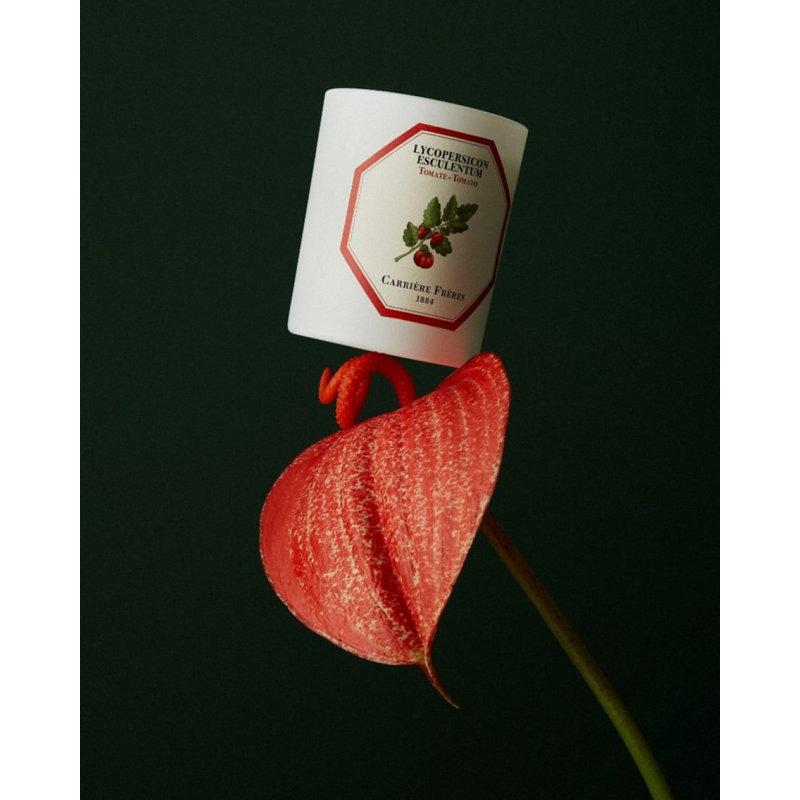 Tomato Candle