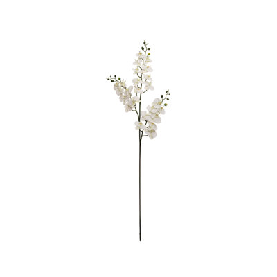 2pc 66"phalaenops X3/24f/18b