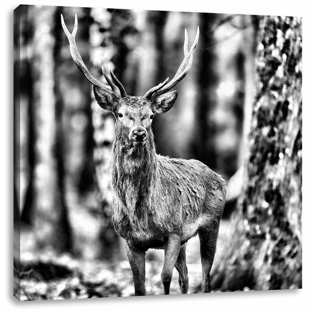 Leinwandbild Schöner Hirsch im Wald