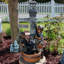 Fontaine d'extérieur en polyrésine avec lumière pour enfants jouant avec robinet Joshi
