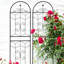 Metal Garden Trellis 71" X 19.7"  2 Packs , Rustproof Outdoor Plant Rack, Black, Easy To Assemble, With Powder Coating, Multiple Applications For Climbing Veggies 2 Pack, Rust- Holder, Galvanized