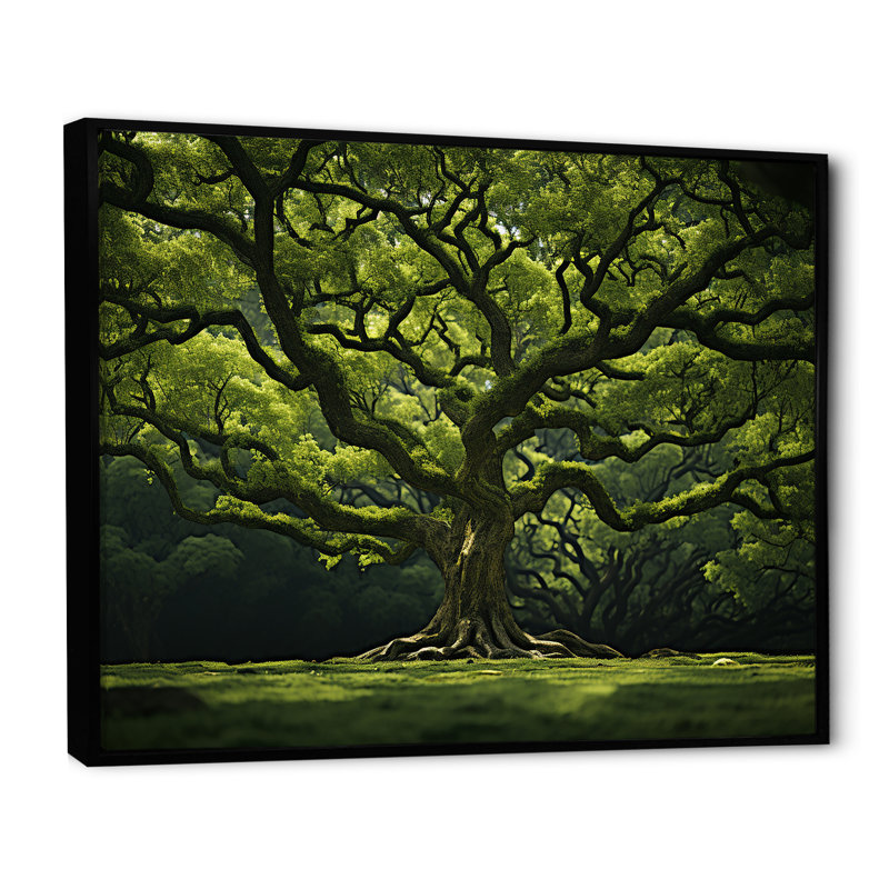 Chêne vert, puissance de la forêt - art mural grand chêne, Cadre flottant noir, H 24 po x l 32 po x P 1 po