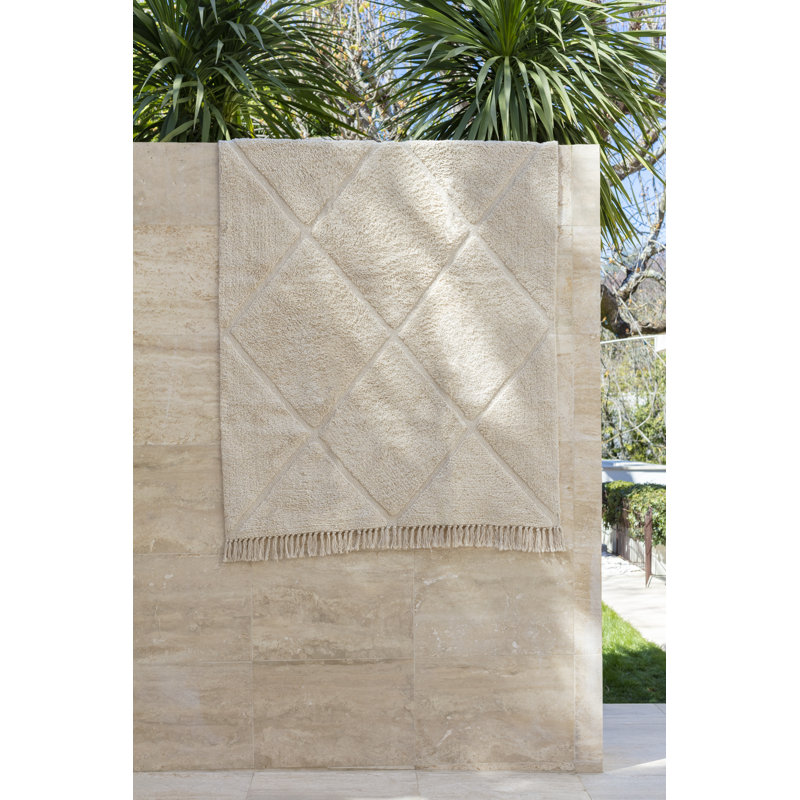 Adamsville Moroccan Hand Woven Area Rug, Rectangle 160 x 230cm