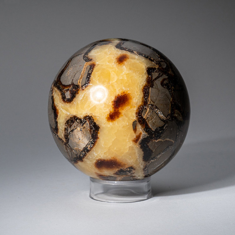 Genuine Polished Septarian (2") Sphere from Madagascar, 3.75" H x 3.75" W x 3.75" D, Yellow Calcite/Brown Aragonite/Gray